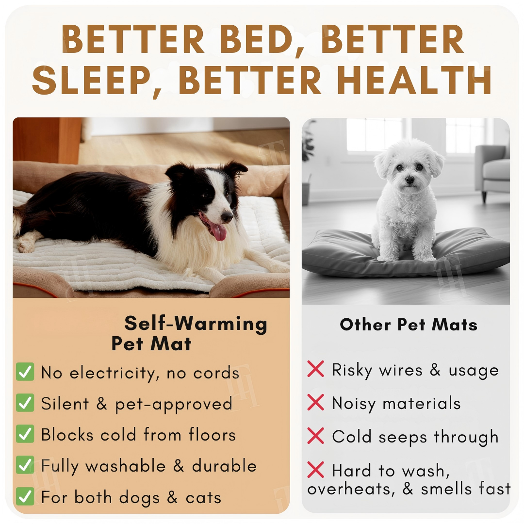 🌡️ Warmth Without the Worry | Self-Warming Pet Mat