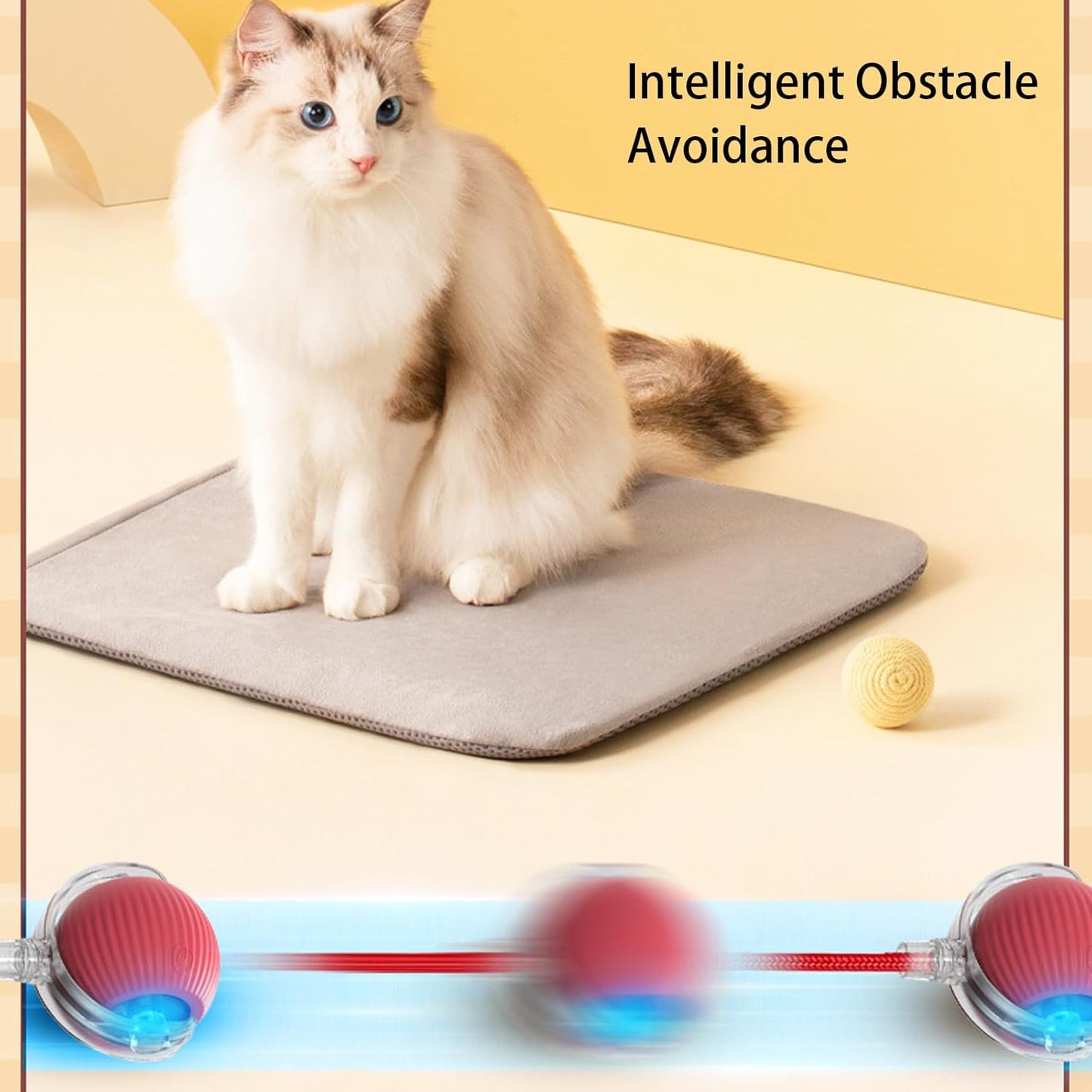 Smart Chase Pet Toy Ball